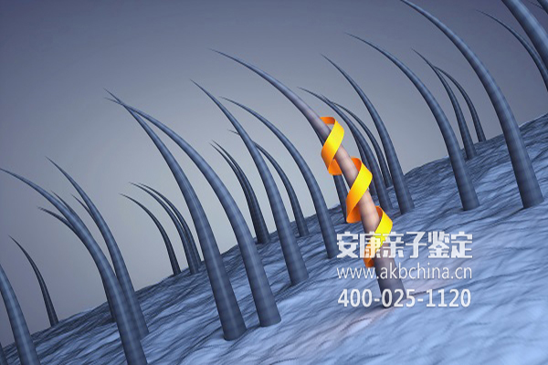 台州亲子鉴定